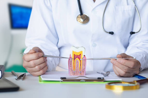 Best 24-Hour Emergency Dentist in Byrnes Mill, MO